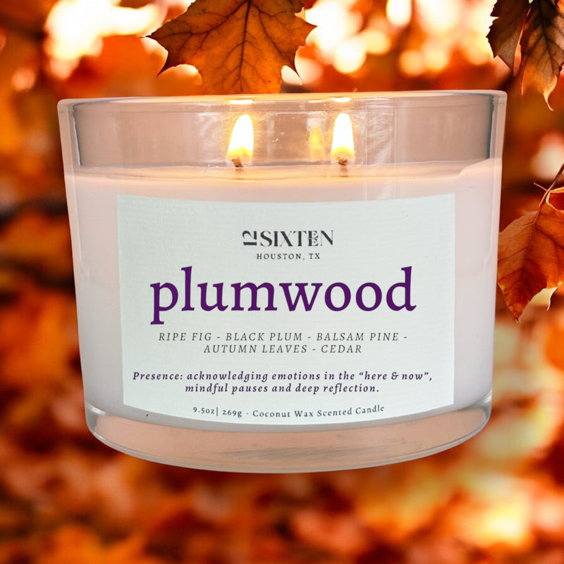 plumwood - Fall Candle: ripe fig, black plum, autumn leaves, cedar