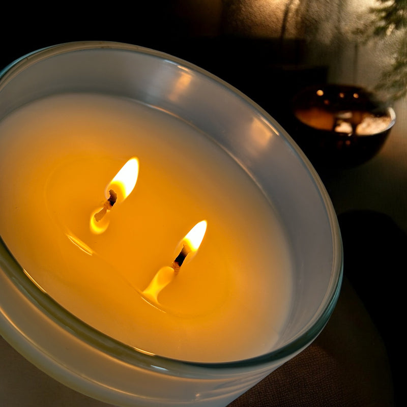 plumwood - Fall Candle: ripe fig, black plum, autumn leaves, cedar